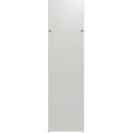 EFB-Elektronik Seitenwand für PRO 42HE, T=600, 1-teilig, RAL7035 Hersteller: EFB Elektronik (PRO-W426E.GR)