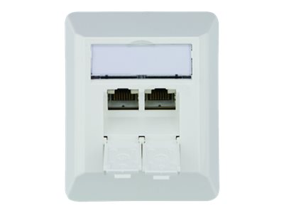 Telegärtner AMJ45 8/8 K AP Cat.6A Aufputzdose 2x RJ45 Alpine White