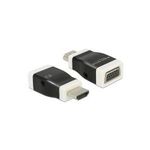DeLOCK Video- / Audio-Adapter (65586)
