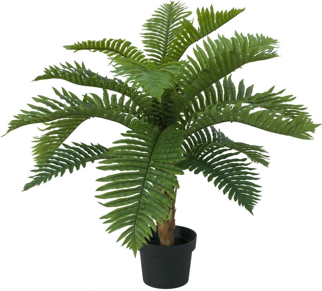 EUROPALMS Cycas Palme, Kunstpflanze, 70cm (82509604)