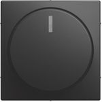 BUSCH JAEGER BJ 2115-915 Zentralscheibe mit Drehknopf Bef.-Mutter und Glimmlampe (2CKA006599A3066)