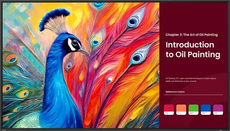 BenQ Education SH5504 (9H.S3STB.DE2)