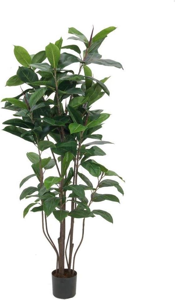EUROPALMS Gummibaum, Kunstpflanze,150cm (82600151)