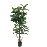 EUROPALMS Gummibaum, Kunstpflanze,150cm (82600151)