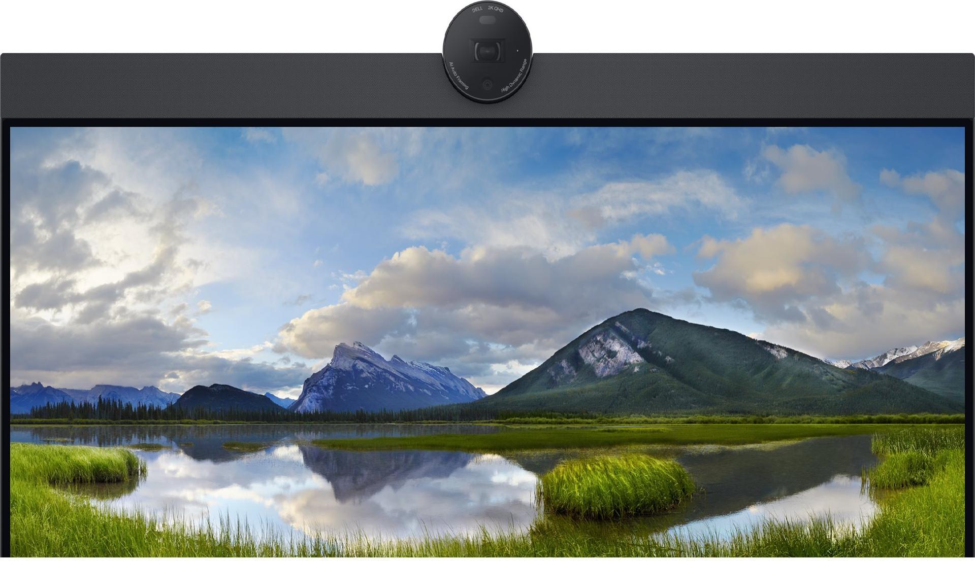 DELL P2424HEB 23,8" Videokonferenzmonitor 1920 x 1080 IPS Schwarz