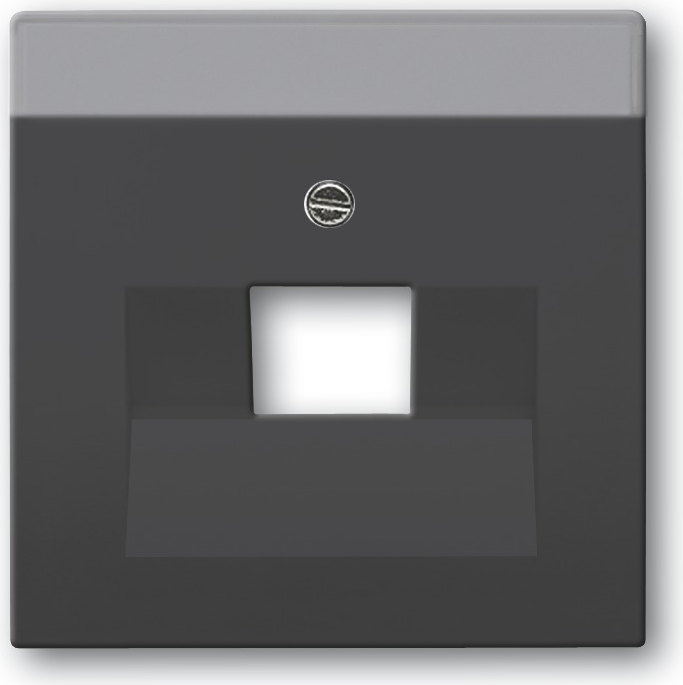 Busch Jaeger 1710-0-3616 Wandplatte/Schalterabdeckung Anthrazit (1710-0-3616)