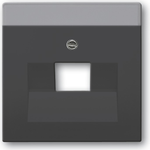 Busch Jaeger 1710-0-3616 Wandplatte/Schalterabdeckung Anthrazit (1710-0-3616)