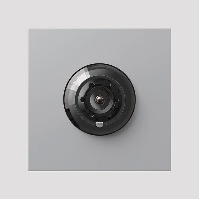 Siedle Bus-Kamera BCM 753-0 SM silber-metallic (210012160-00)