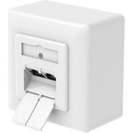 Hama Netzwerkdose, CAT-6a, 10 Gbit/s, geschirmt, 2 Ports, Aufputz-/Unterputz (00200774)