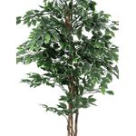 EUROPALMS Silberficus-Benjamini, Kunstpflanze, 180cm (82506116)