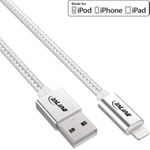 InLine 31422A 2m USB A Lightning Silber Handykabel (31422A)