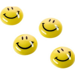 Magnetoplan 16672 Tafelzubehör Tafelmagnet (16672)