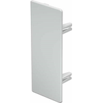 OBO Bettermann Endstück WDK/HE 60150 60x150mm reinweiss (6193323)