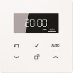 Jung LS1750DWW Timer Standard m.Display (LS1750DWW)