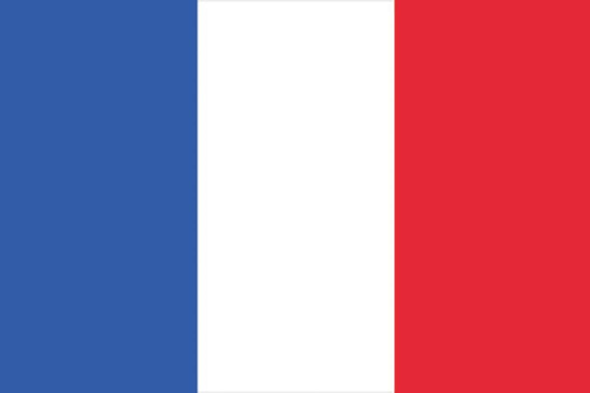 EUROPALMS Flagge, Frankreich, 600x360cm (83300520)