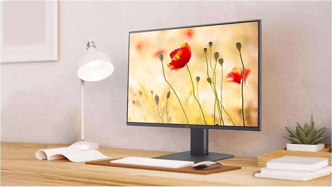 BenQ GW2491 23.8" IPS-Monitor 1920 x 1080 100 Hz Schwarz