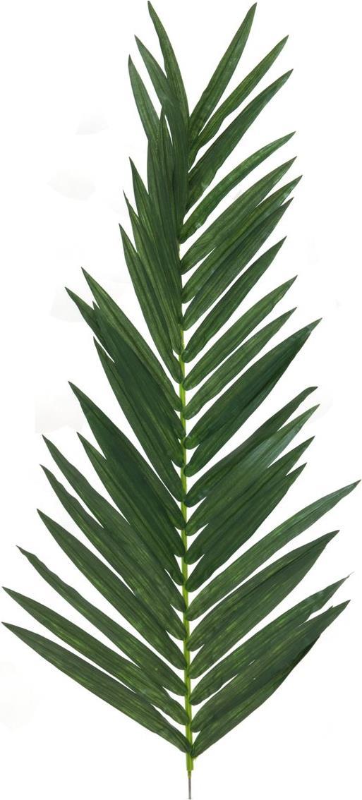 EUROPALMS Kokos-Königspalmwedel, künstlich, 150cm (82509845)