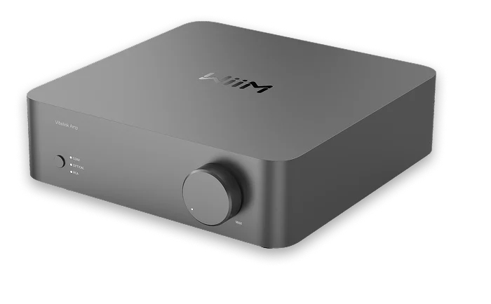 WiiM Vibelink Amp 1-Kanal 200 W Klasse D Grau
