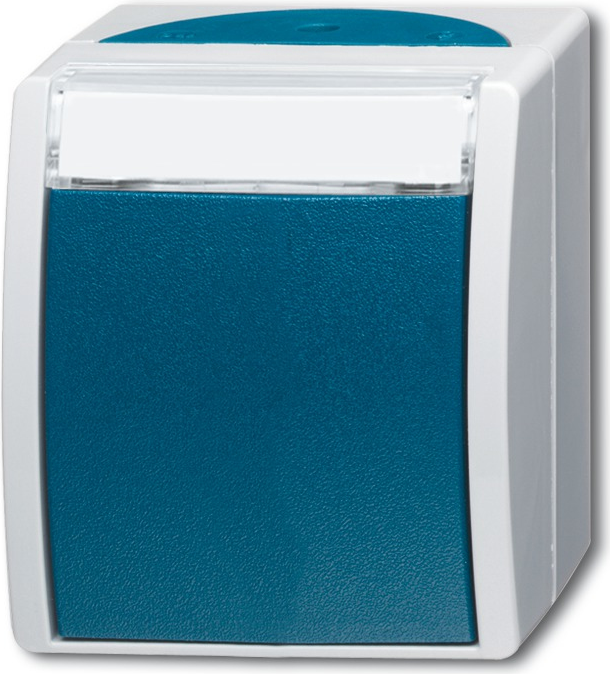 BUSCH-JAEGER Wechselschalter 2601/6WN-53 ocean mit Namensschild 2601/6WN-53 (1085-0-1611)