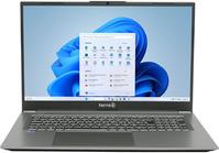 TERRA MOBILE 1717R i5-1334U W11 (1220821)