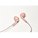 JVC HA-F19M Kopfhörer (HA-F19M-PT)