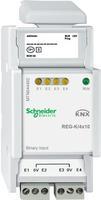 APC Schneider Electric Binäreingang REG-K/4x10,lichtgrau MTN644492 (MTN644492)