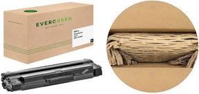 EVERGREEN Toner EGTD59311109E ersetzt OEM Dell 593-11109 schwarz, Kapazität: 25.000 Seiten - 1 Stück (EGTD59311109E)