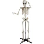 EUROPALMS Halloween Skelett, stehend, 150 cm (83316179)