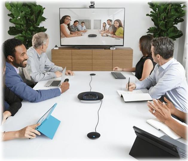 Logitech GROUP Expansion Microphones Only Schwarz