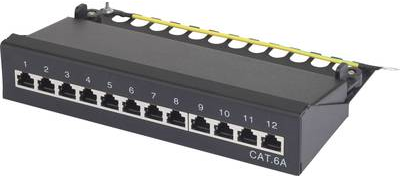 Renkforce 12 Port Netzwerk-Patchbox 25,4 cm (10") CAT 6a 1 HE (RF-3353154)