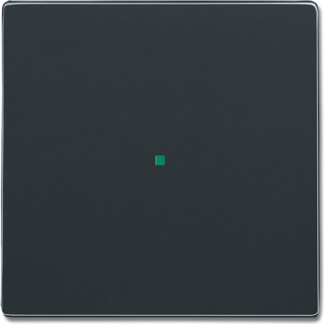 Busch-Jaeger 2CKA006220A0032 Abdeckplatte für Sensorhalterung & -sockel Anthrazit (2CKA006220A0032)