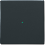 Busch-Jaeger 2CKA006220A0032 Abdeckplatte für Sensorhalterung & -sockel Anthrazit (2CKA006220A0032)