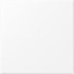 Jung Blind-Abdeckung LS994BWWM (LS994BWWM)