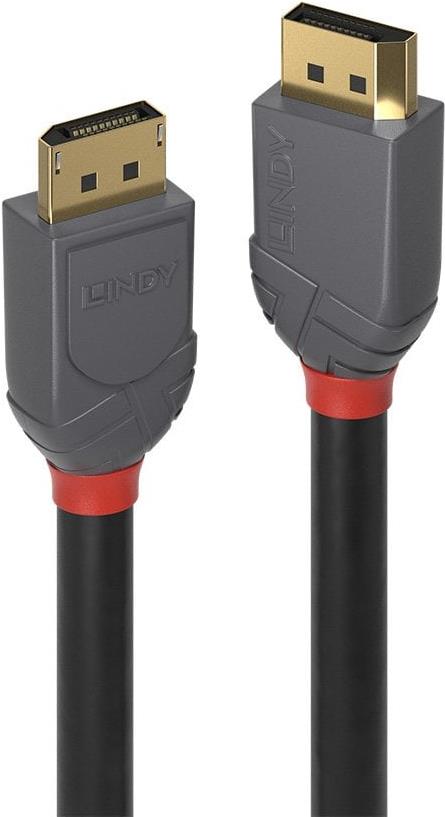 Lindy Anthra Line DisplayPort-Kabel DisplayPort M bis DisplayPort 