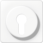 Jung Abdeckung aws für Schlüsselschalt. CD 528 WW (CD528WW)