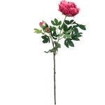 EUROPALMS Pfingstrosenzweig Premium, Kunstpflanze, magenta, 100cm (82530221)