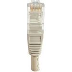 Dexlan RJ-45 Cat6 M/M 1m 1m Cat6 U/UTP (UTP) Grau Netzwerkkabel (854183)