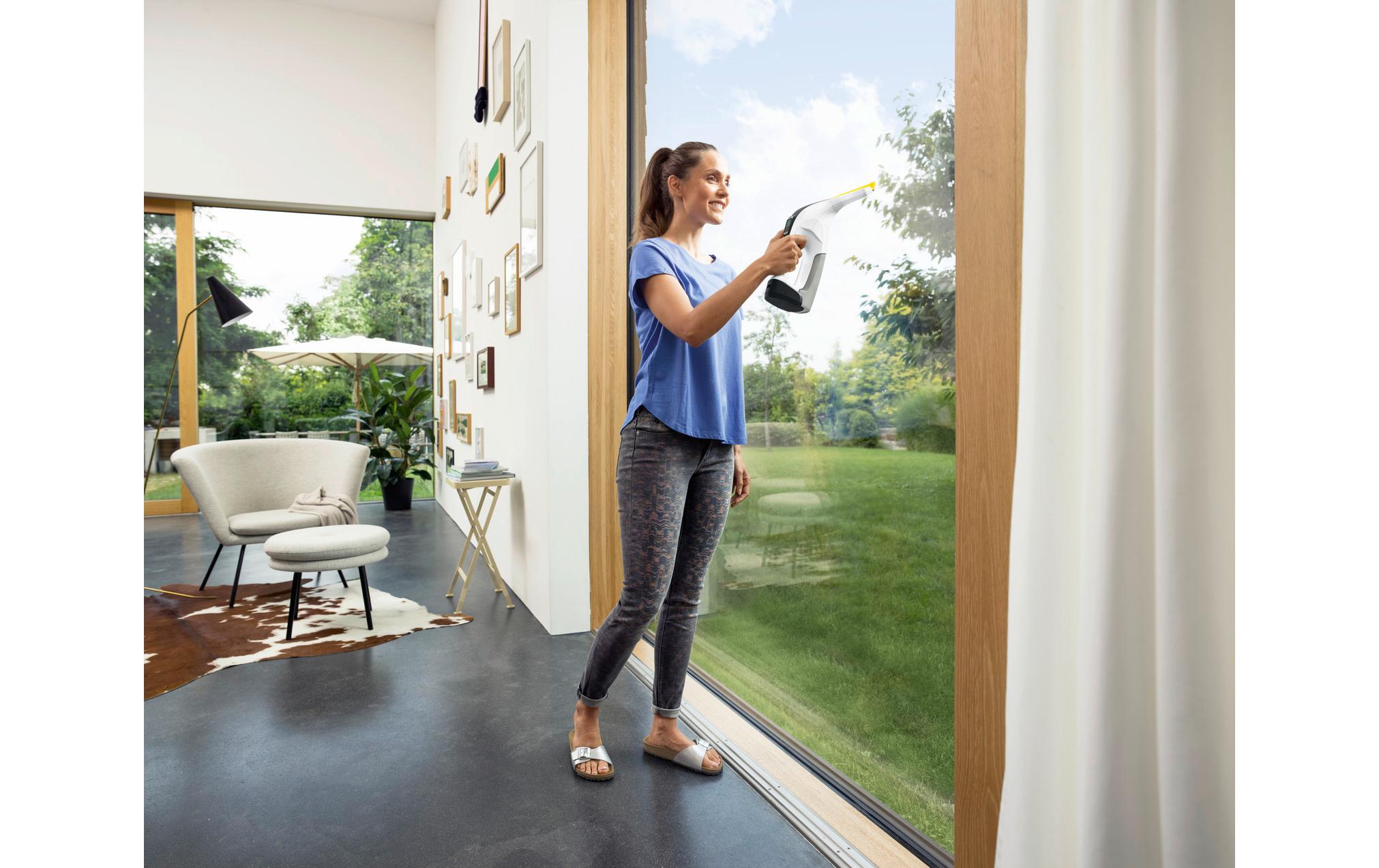 Kärcher WV 6 Plus Fenstersauger 28 cm Silber, Weiß