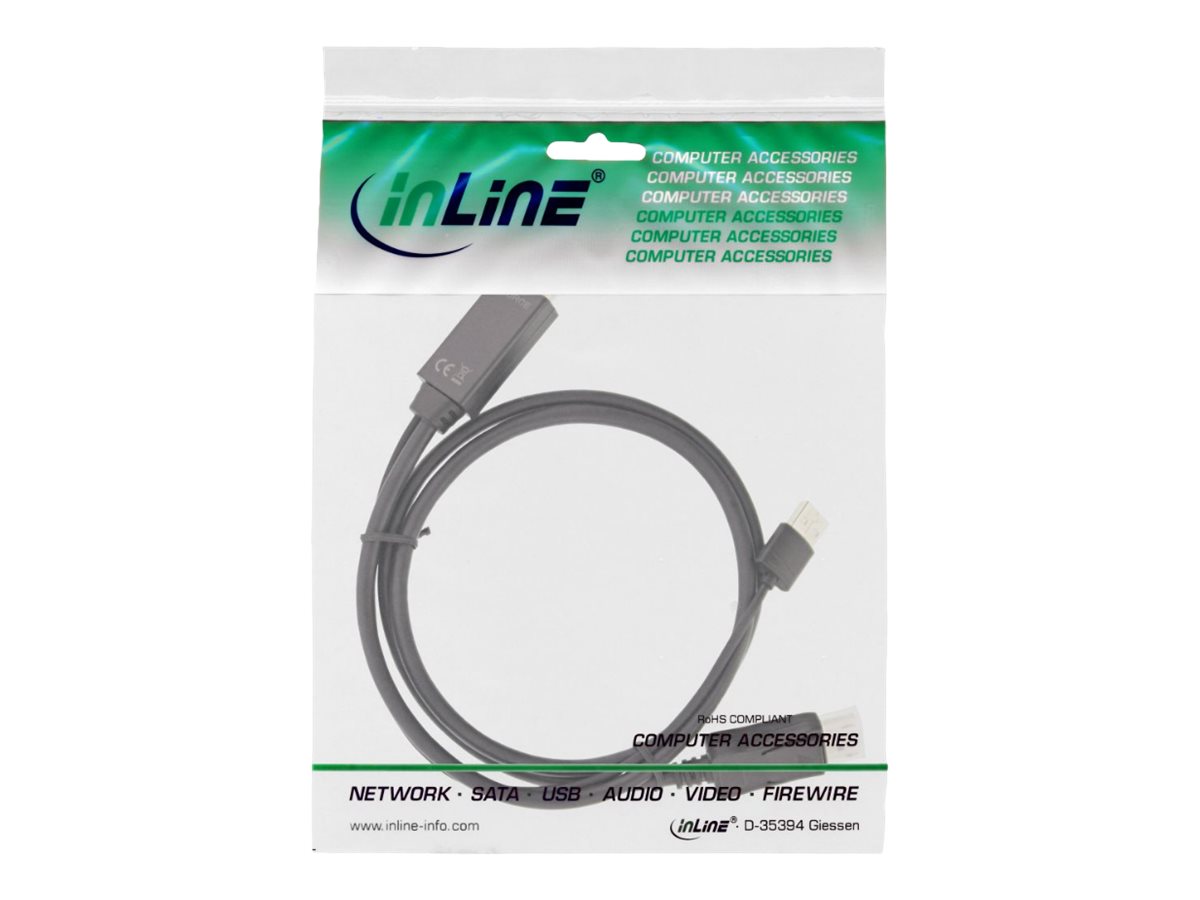 InLine HDMI zu DisplayPort Konverter Kabel 4K @30Hz 5m Schwarz/Gold