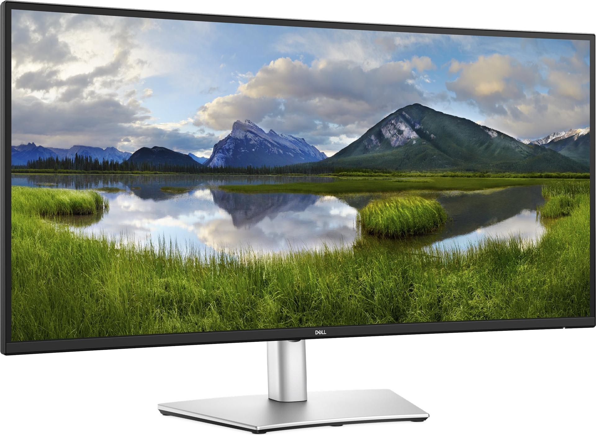 Dell Pro Plus P3425WE 34.1" WQHD Curved USB-C Hub Monitor 100 Hz 90W PD Schwarz, Silber