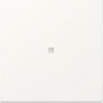 GIRA Wippe 329027 Kontrollf.Sys.55 rws m (329027)