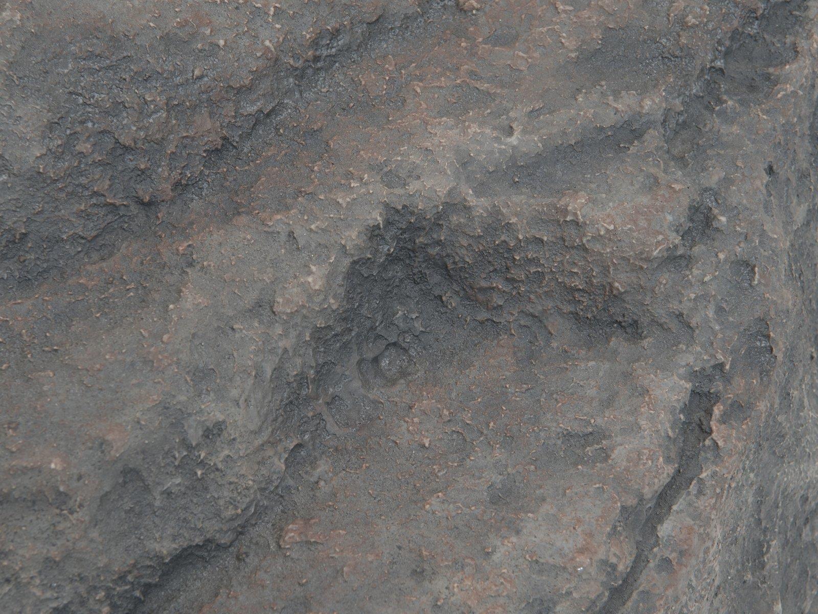 EUROPALMS Dekofelsen, Diamond (83313233)