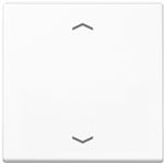 Jung Wippe f.Taster -Pfeile A101PWW (A101PWW)