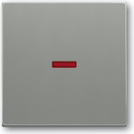 Busch Jaeger 1751-0-3013 Lichtschalter Grau Kunststoff (1751-0-3013)