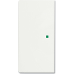 Busch-Jaeger 2CKA006220A0486 Abdeckplatte für Sensorhalterung & -sockel Weiß (2CKA006220A0486)