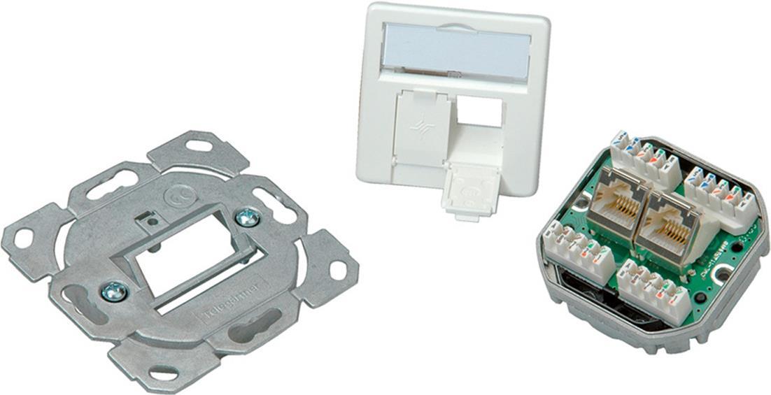 Telegärtner AMJ45 J00020A0389 Netzwerkdose Cat.5e 2x RJ45 Alpine White