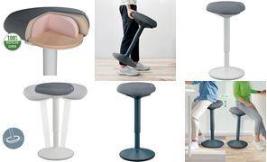 Esselte Leitz Ergo Active Stehhocker mit Komfortsitz hellgrau (65450085)