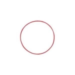 Olympus POL-050 O-Ring für PT-050