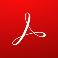 Adobe Acrobat Standard 2020 (65324339AD01A00)