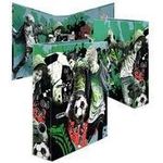 HERMA Motivordner "Street Soccer", DIN A4, 70 mm aus stabilem Karton, bedruckter Innenspiegel, - 1 Stück (20103)